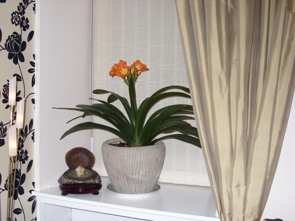 Alba Guest House Aberdeen Zewnętrze zdjęcie